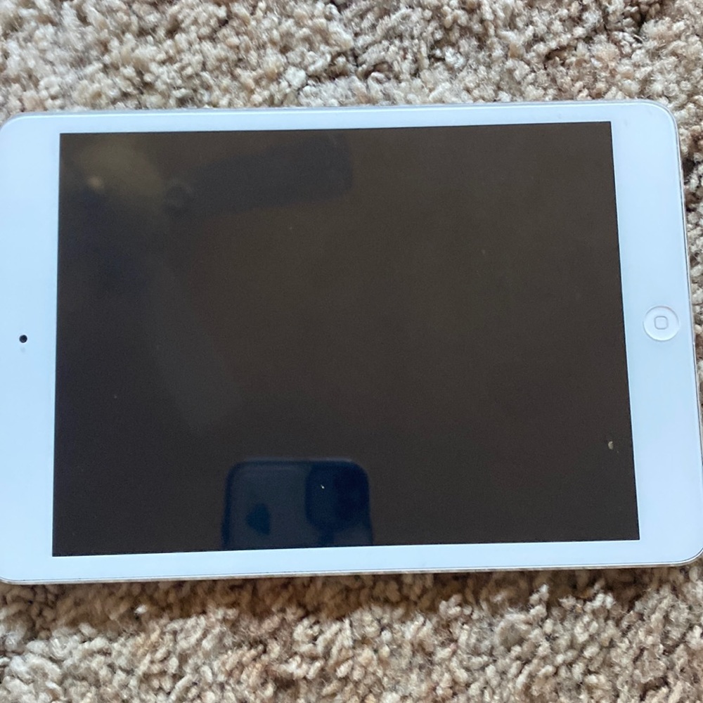 iPad mini